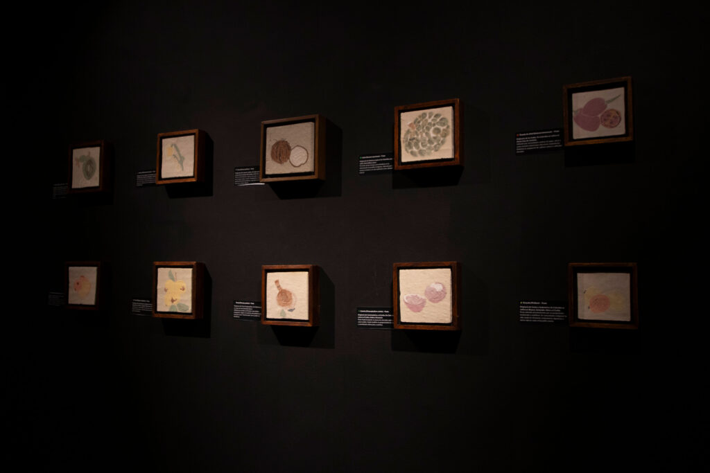installation view gladys macias