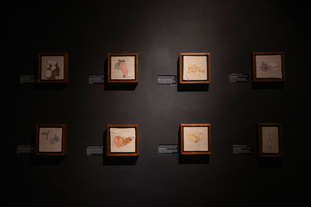 installation view gladys macias