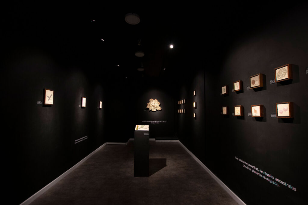 installation view gladys macias