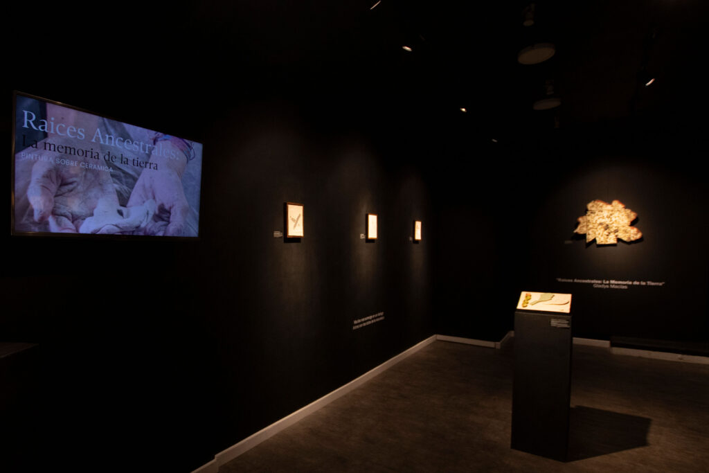 installation view gladys macias